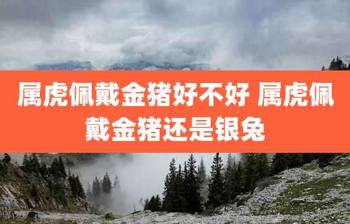 属虎佩戴金猪好不好 属虎佩戴金猪还是银兔