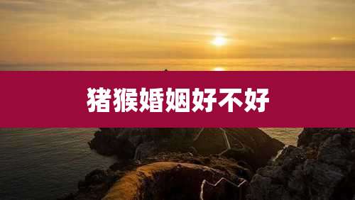 猪猴婚姻好不好