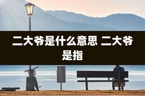 二大爷是什么意思 二大爷是指
