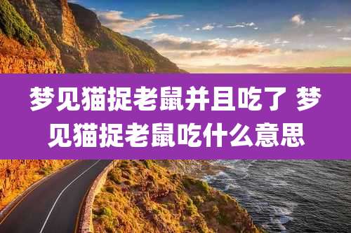 梦见猫捉老鼠并且吃了 梦见猫捉老鼠吃什么意思