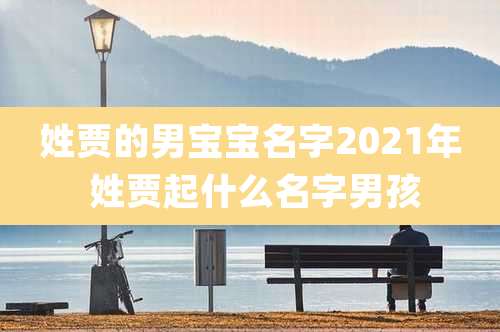 姓贾的男宝宝名字2021年 姓贾起什么名字男孩