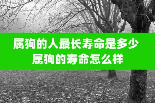 属狗的人最长寿命是多少 属狗的寿命怎么样