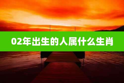 02年出生的人属什么生肖