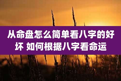 从命盘怎么简单看八字的好坏 如何根据八字看命运
