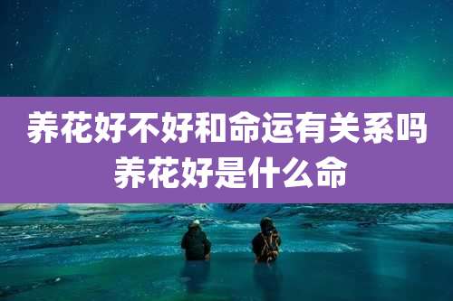 养花好不好和命运有关系吗 养花好是什么命