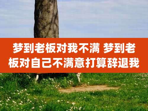 梦到老板对我不满 梦到老板对自己不满意打算辞退我