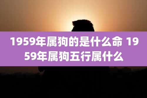 1959年属狗的是什么命 1959年属狗五行属什么