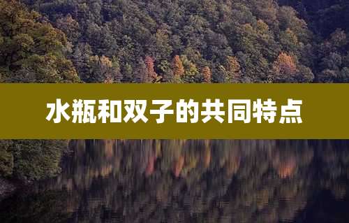 水瓶和双子的共同特点