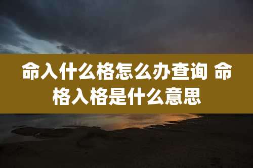 命入什么格怎么办查询 命格入格是什么意思