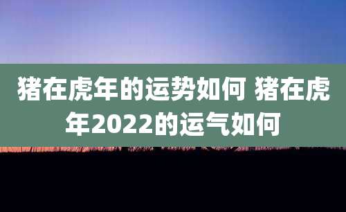 猪在虎年的运势如何 猪在虎年2022的运气如何