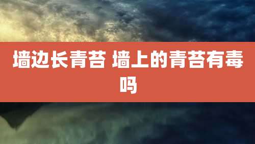 墙边长青苔 墙上的青苔有毒吗