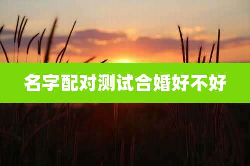 名字配对测试合婚好不好