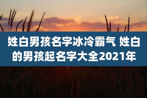 姓白男孩名字冰冷霸气 姓白的男孩起名字大全2021年