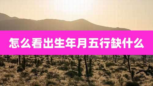 怎么看出生年月五行缺什么