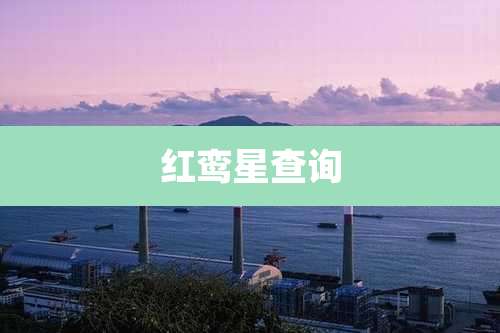 红鸾星查询
