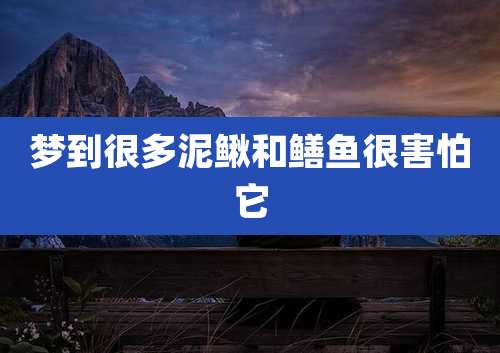 梦到很多泥鳅和鳝鱼很害怕它