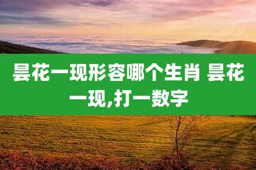 昙花一现形容哪个生肖 昙花一现,打一数字