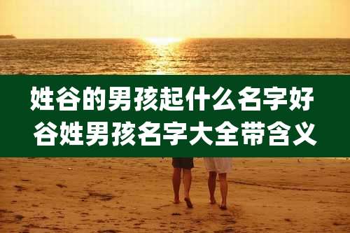 姓谷的男孩起什么名字好 谷姓男孩名字大全带含义