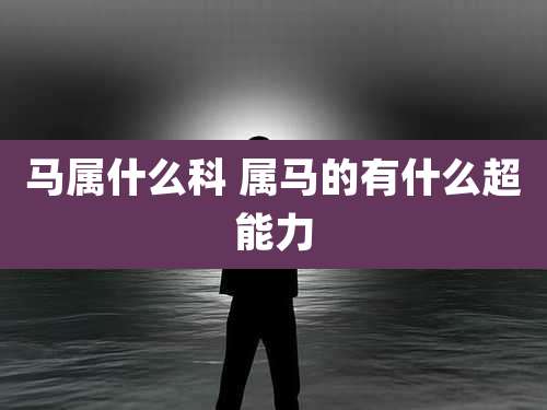 马属什么科 属马的有什么超能力