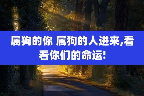 属狗的你 属狗的人进来,看看你们的命运!