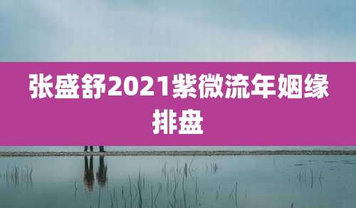 张盛舒2021紫微流年姻缘排盘
