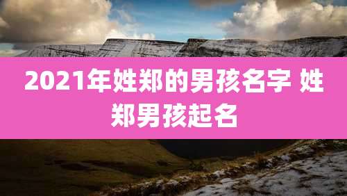 2021年姓郑的男孩名字 姓郑男孩起名