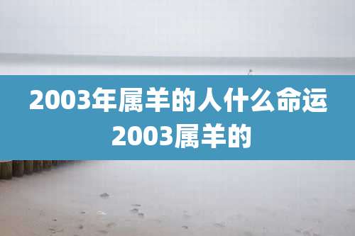 2003年属羊的人什么命运 2003属羊的