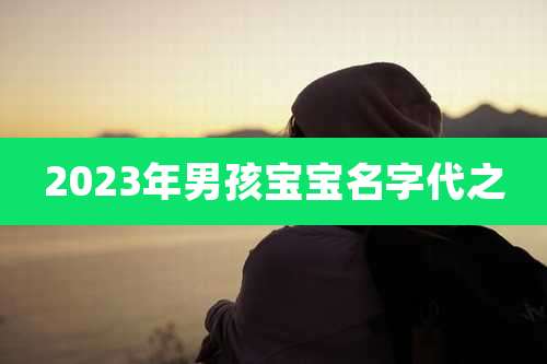 2023年男孩宝宝名字代之