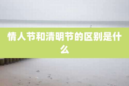 情人节和清明节的区别是什么
