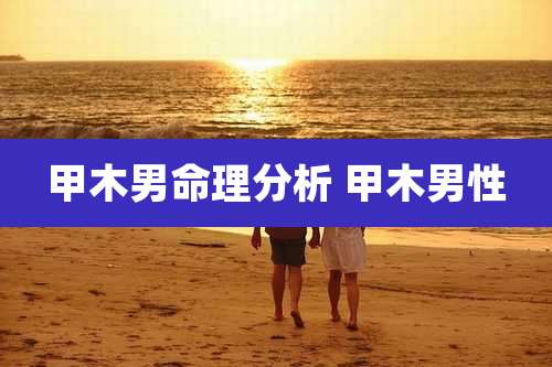 甲木男命理分析 甲木男性