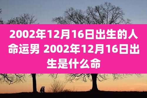 2002年12月16日出生的人命运男 2002年12月16日出生是什么命
