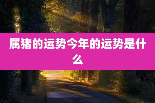 属猪的运势今年的运势是什么