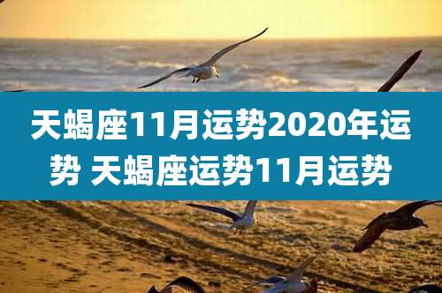 天蝎座11月运势2020年运势 天蝎座运势11月运势