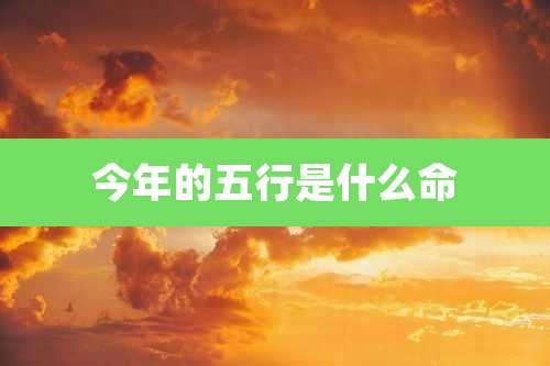 今年的五行是什么命