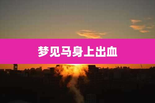 梦见马身上出血
