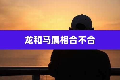 龙和马属相合不合