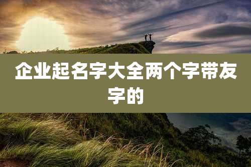 企业起名字大全两个字带友字的