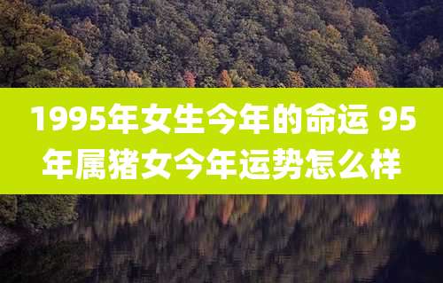 1995年女生今年的命运 95年属猪女今年运势怎么样