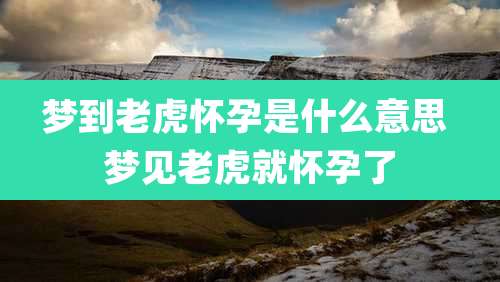 梦到老虎怀孕是什么意思 梦见老虎就怀孕了