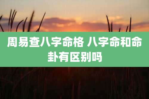 周易查八字命格 八字命和命卦有区别吗