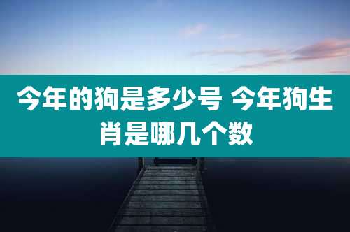 今年的狗是多少号 今年狗生肖是哪几个数