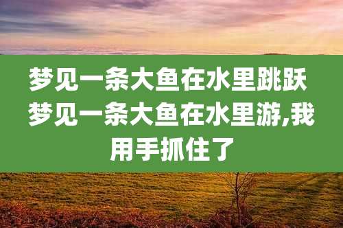 梦见一条大鱼在水里跳跃 梦见一条大鱼在水里游,我用手抓住了