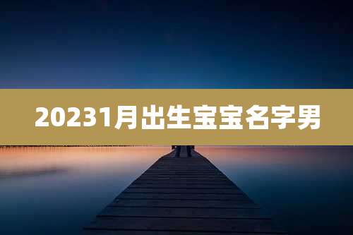 20231月出生宝宝名字男