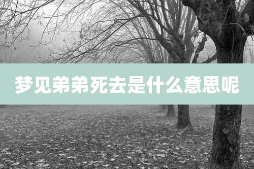 梦见弟弟死去是什么意思呢