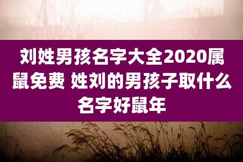 刘姓男孩名字大全2020属鼠免费 姓刘的男孩子取什么名字好鼠年