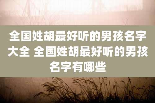 全国姓胡最好听的男孩名字大全 全国姓胡最好听的男孩名字有哪些