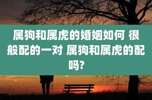 属狗和属虎的婚姻如何 很般配的一对 属狗和属虎的配吗?