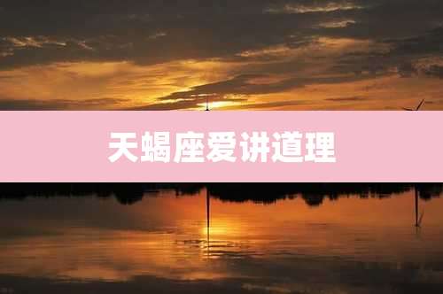 天蝎座爱讲道理