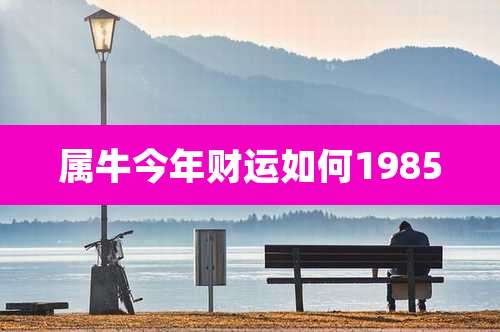 属牛今年财运如何1985