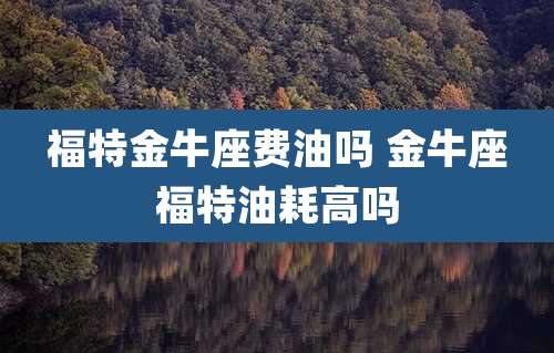 福特金牛座费油吗 金牛座福特油耗高吗